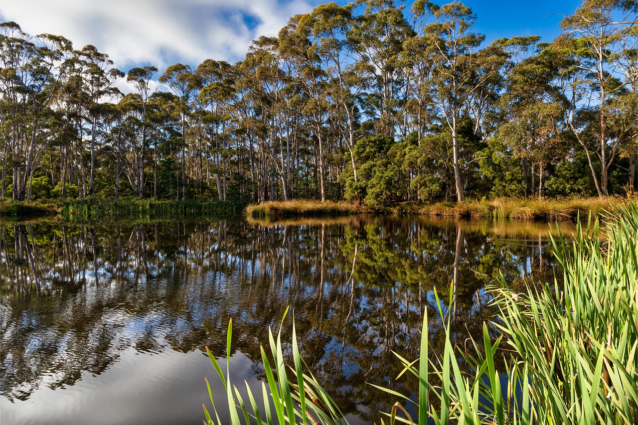 Hidden Lakes of Australia’s Tasmania
